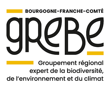 Logo GREBE BFC